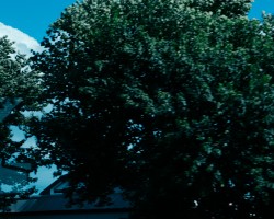 On the bus from Nagasaki Airport to the city center 空港から長崎市内へのバス